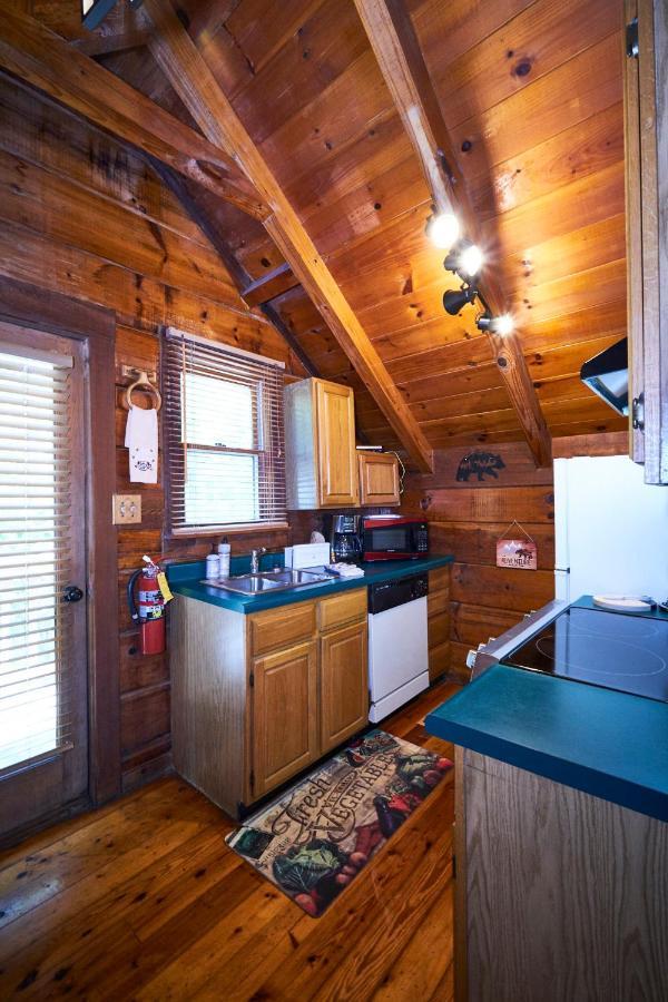Gatlinburg Area Hottub Cabin - Ladyslipper Sevierville Extérieur photo