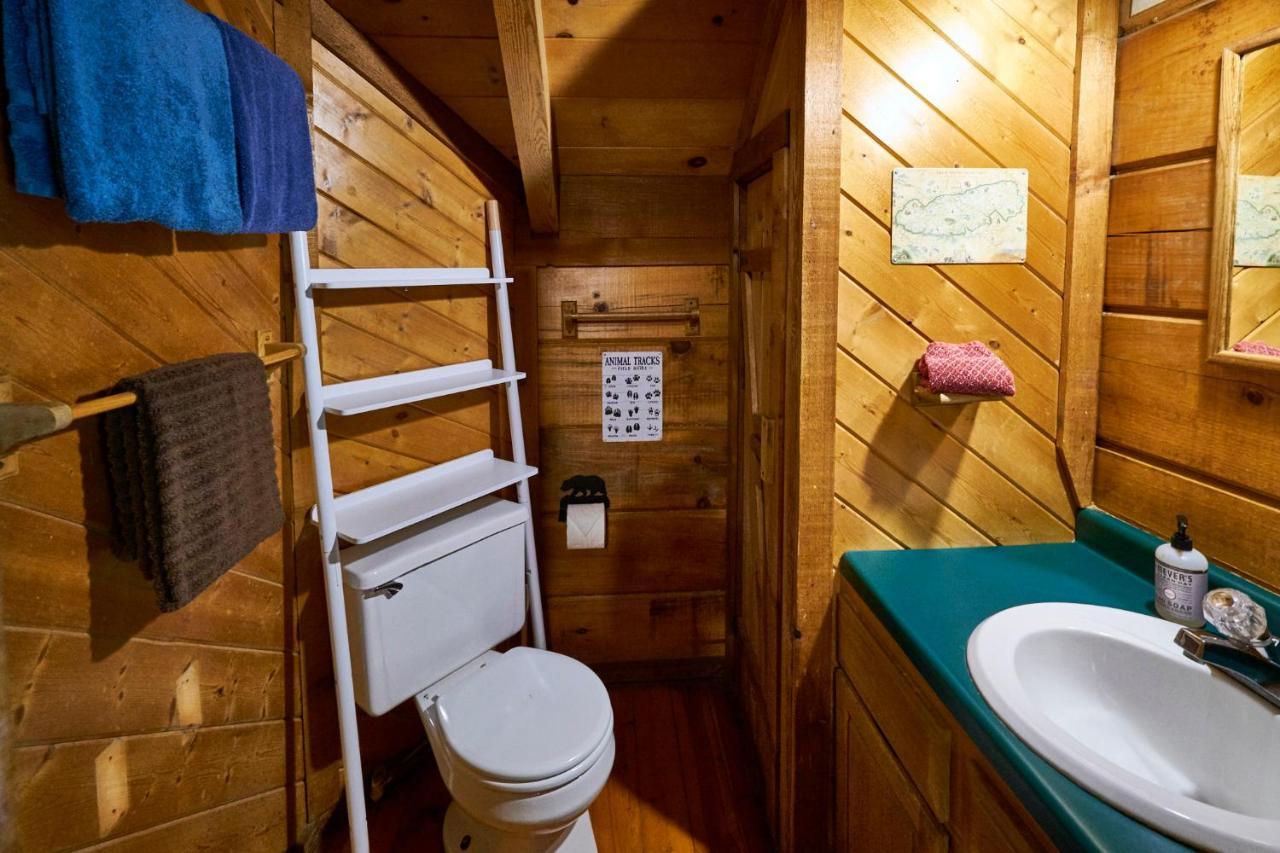 Gatlinburg Area Hottub Cabin - Ladyslipper Sevierville Extérieur photo