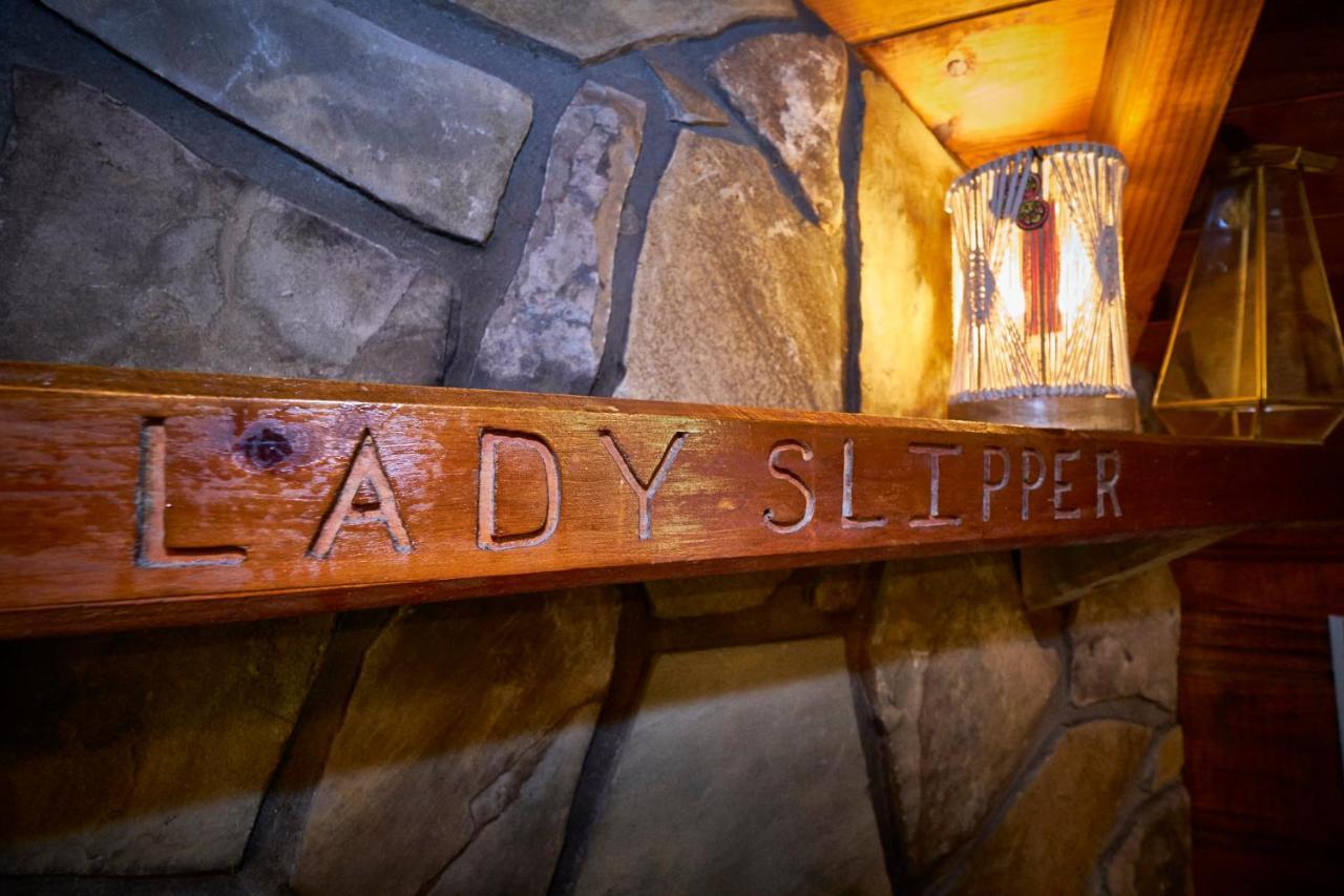 Gatlinburg Area Hottub Cabin - Ladyslipper Sevierville Extérieur photo